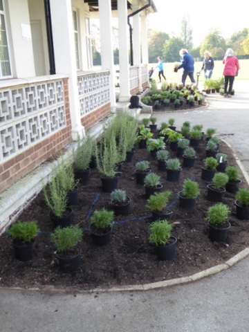 The side bed at the Pavilion ready for planting